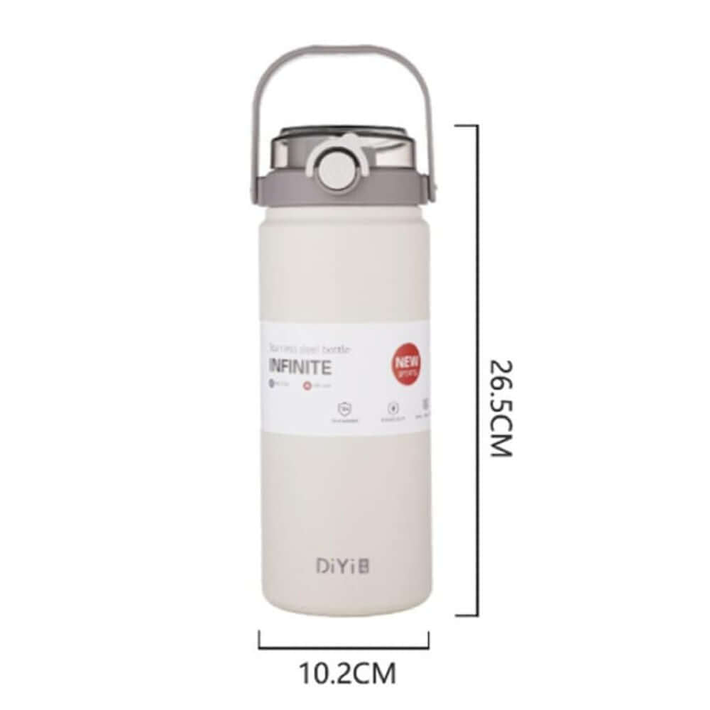 Double Wall Vacuum Insulated Stainless Steel Water Bottle with Handle and Straw (1000 ml, Gray) - Royalstuffs.com