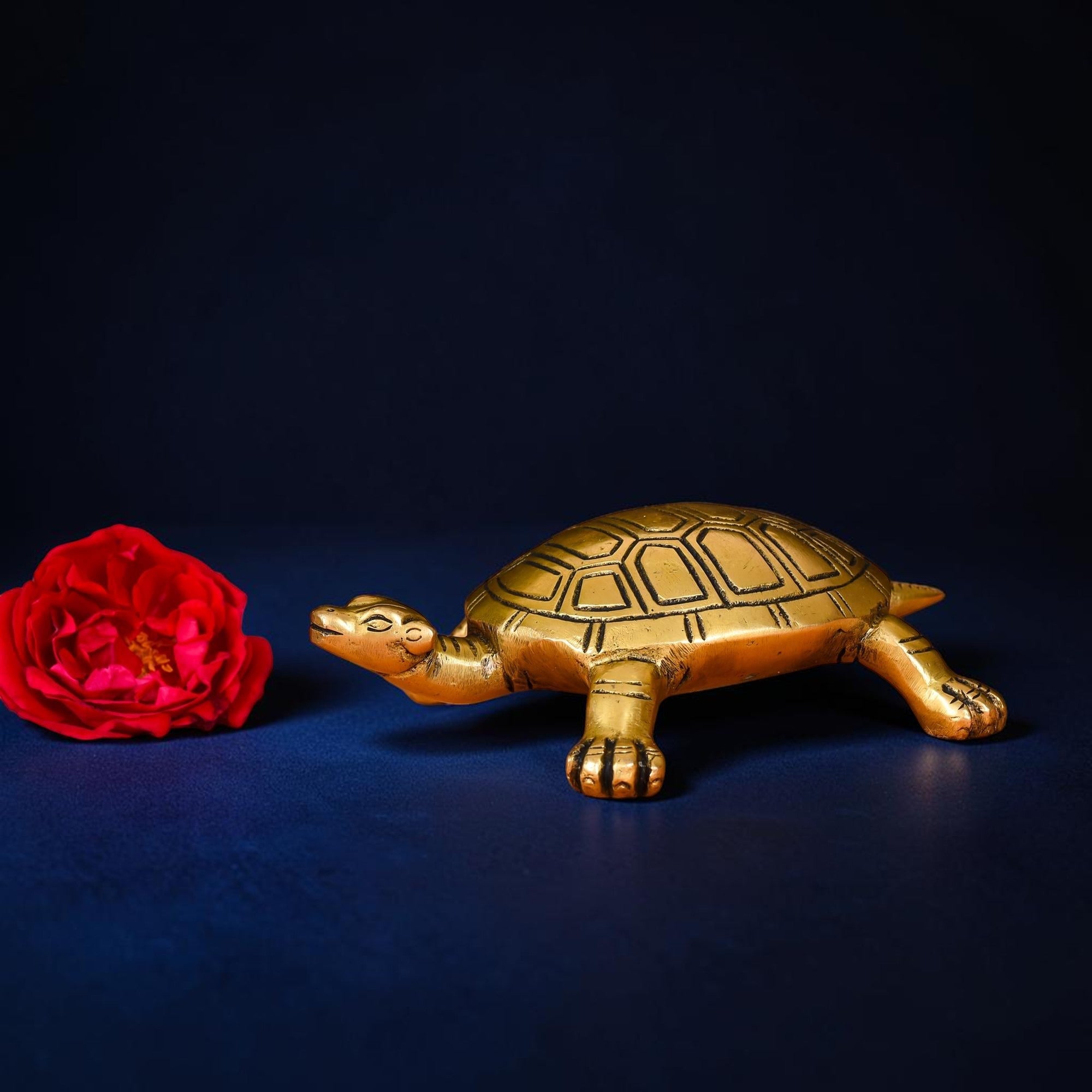 Handcrafted Brass Tortoise Figurine for Vastu & Feng Shui | RoyalStuffs - Royalstuffs.com