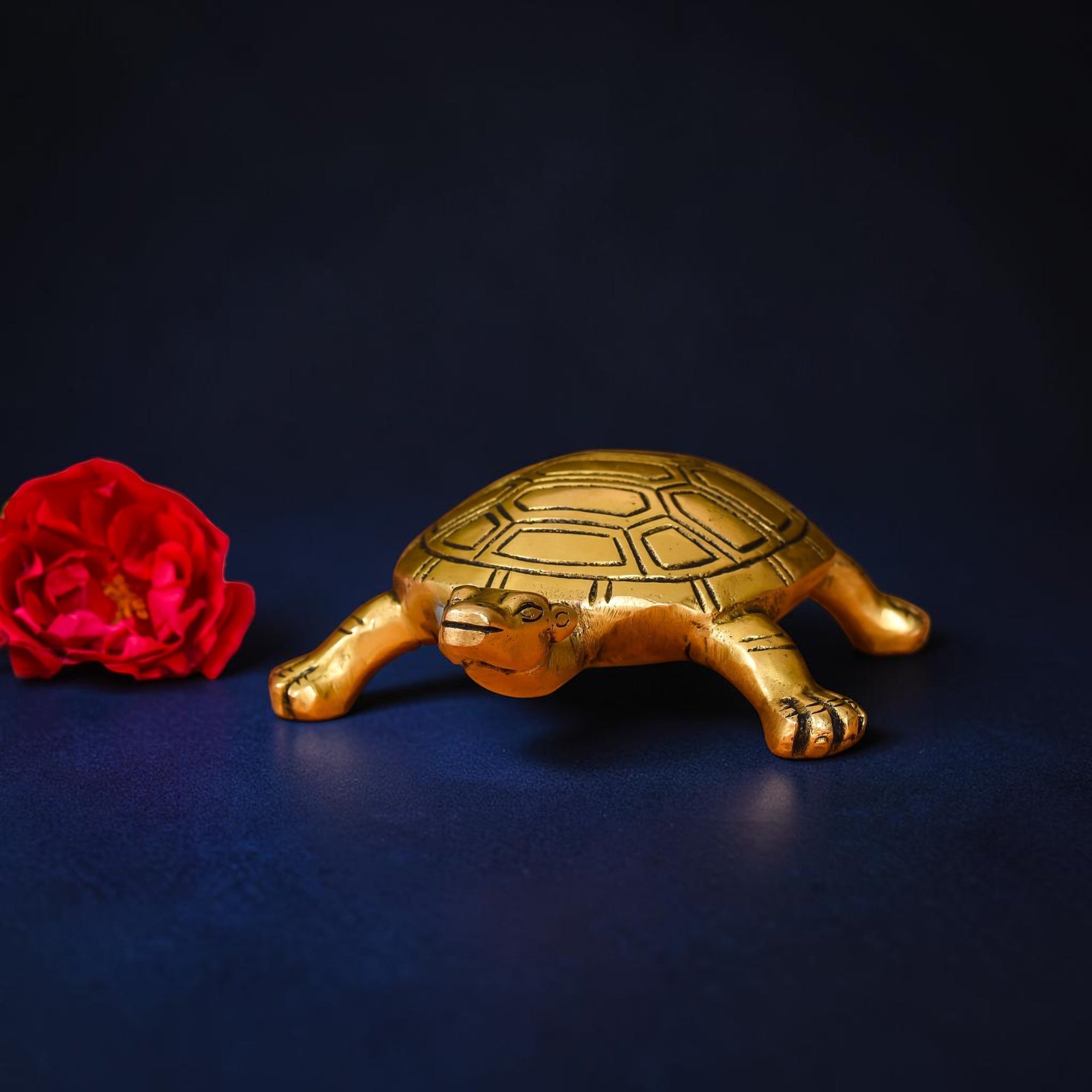 Handcrafted Brass Tortoise Figurine for Vastu & Feng Shui | RoyalStuffs - Royalstuffs.com
