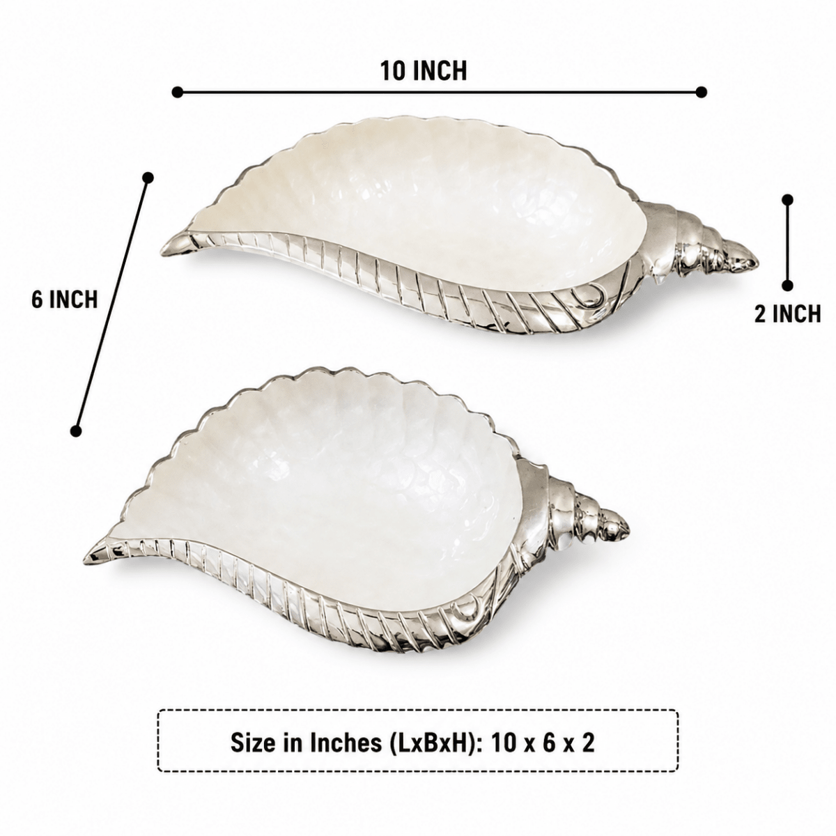 Handcrafted Conch Shell Serving Dish - Metalware Bowl Set - Royalstuffs.com