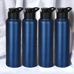 Stainless Steel Sports/Sipper Water Bottle 4000 ml Bottle  (Pack of 4, Blue, Steel)