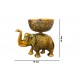 ROYALSTUFFS Metal Elephant Dry Fruit Bowl Showpiece Gold Polish for Your Home,Office Table & Gift Article,Animal Decorative Showpiece Figurines (640 Gram)