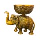 ROYALSTUFFS Metal Elephant Dry Fruit Bowl Showpiece Gold Polish for Your Home,Office Table & Gift Article,Animal Decorative Showpiece Figurines (640 Gram)